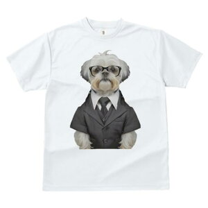 V[Y[ TVc  j[NfUCfB[X t@  t vg JWA 킢 lԗp Mtg I X[c V[Y[ Kl lN^C