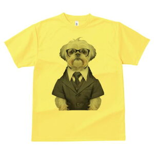 V[Y[ TVc  j[NfUCY LbY t@  t vg JWA 킢 lԗp Mtg I X[c V[Y[ Kl lN^C