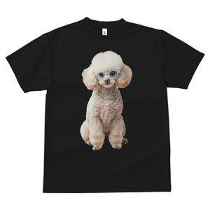 gCv[h TVc  j[NfUCfB[X t@  t vg JWA 킢 lԗp Mtg I Kl gCv[h 킢  t@bV