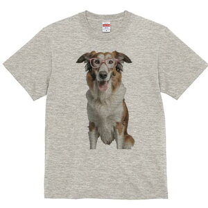 {[_[R[ TVc  j[NfUCY LbY t@  t vg JWA 킢 lԗp Mtg I Kl {[_[R[