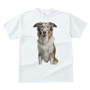 {[_[R[ TVc  j[NfUCfB[X t@  t vg JWA 킢 lԗp Mtg I Kl {[_[R[