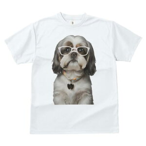 V[Y[ TVc  j[NfUCfB[X t@  t vg JWA 킢 lԗp Mtg I Kl V[Y[ 