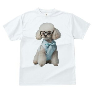 gCv[h TVc  j[NfUCfB[X t@  t vg JWA 킢 lԗp Mtg I Kl gCv[h lN^C xXg