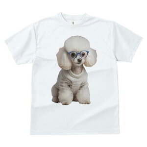 gCv[h TVc  j[NfUCfB[X t@  t vg JWA 킢 lԗp Mtg I Kl gCv[h Z[^[