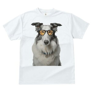 {[_[R[ TVc  j[NfUCY LbY t@  t vg JWA 킢 lԗp Mtg I Kl {[_[R[