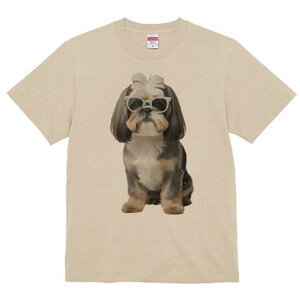 V[Y[ TVc  j[NfUCY LbY t@  t vg JWA 킢 lԗp Mtg I Kl V[Y[