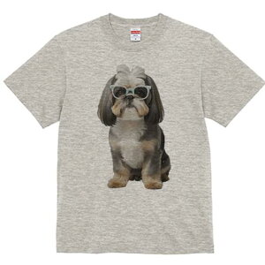 V[Y[ TVc  j[NfUCY LbY t@  t vg JWA 킢 lԗp Mtg I Kl V[Y[