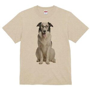 {[_[R[ TVc  j[NfUCY LbY t@  t vg JWA 킢 lԗp Mtg I Kl {[_[R[