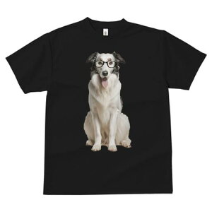 {[_[R[ TVc  j[NfUCfB[X t@  t vg JWA 킢 lԗp Mtg I Kl {[_[R[