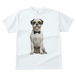 V[Y[ TVc  j[NfUCfB[X t@  t vg JWA 킢 lԗp Mtg I lN^C V[Y[ ዾ