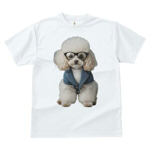 gCv[h TVc  j[NfUCY LbY t@  t vg JWA 킢 lԗp Mtg I Kl gCv[h fjWPbg Z[^[