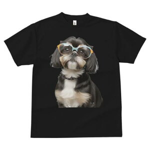 V[Y[ TVc  j[NfUCfB[X t@  t vg JWA 킢 lԗp Mtg I Kl V[Y[