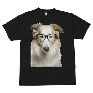 {[_[R[ TVc  j[NfUCY LbY t@  t vg JWA 킢 lԗp Mtg I Kl {[_[R[