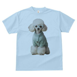 v[h TVc  j[NfUCY LbY t@  t vg JWA 킢 lԗp Mtg I Kl v[h J[fBK