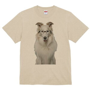 R[ TVc  j[NfUCY LbY t@  t vg JWA 킢 lԗp Mtg I Kl R[