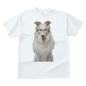 R[ TVc  j[NfUCfB[X t@  t vg JWA 킢 lԗp Mtg I Kl R[