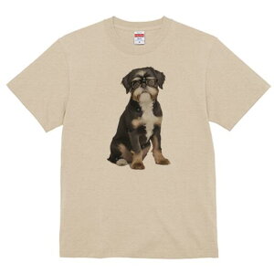 ubZOtH TVc  j[NfUCY LbY t@  t vg JWA 킢 lԗp Mtg I Kl ubZOtH