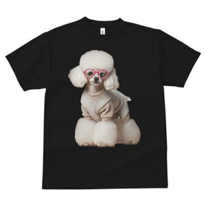 v[h TVc  j[NfUCfB[X t@  t vg JWA 킢 lԗp Mtg I Kl v[h Z[^[