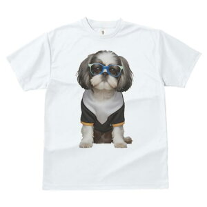 V[Y[ TVc  j[NfUCfB[X t@  t vg JWA 킢 lԗp Mtg I Kl V[Y[ 