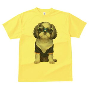 V[Y[ TVc  j[NfUCY LbY t@  t vg JWA 킢 lԗp Mtg I Kl V[Y[ 