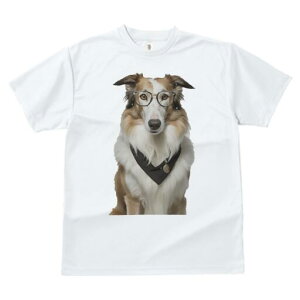 R[ TVc  j[NfUCY LbY t@  t vg JWA 킢 lԗp Mtg I Kl R[ o_i y_g