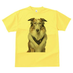 R[ TVc  j[NfUCY LbY t@  t vg JWA 킢 lԗp Mtg I Kl R[ o_i y_g