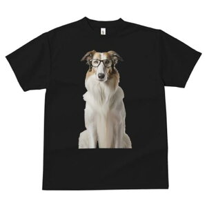 {]C TVc  j[NfUCfB[X t@  t vg JWA 킢 lԗp Mtg I Kl {]C