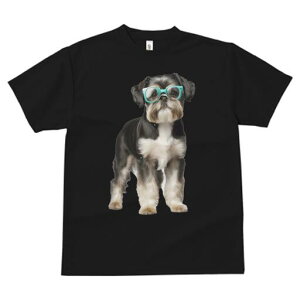 V[Y[ TVc  j[NfUCfB[X t@  t vg JWA 킢 lԗp Mtg I Kl V[Y[