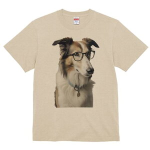 VFbghV[vhbO TVc  j[NfUCY LbY t@  t vg JWA 킢 lԗp Mtg I Kl VFbghV[vhbO 