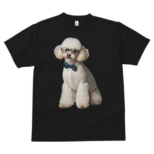 v[h TVc  j[NfUCfB[X t@  t vg JWA 킢 lԗp Mtg I lN^C v[h Z[^[ ዾ