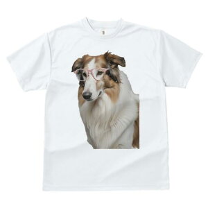 R[ TVc  j[NfUCfB[X t@  t vg JWA 킢 lԗp Mtg I Kl R[