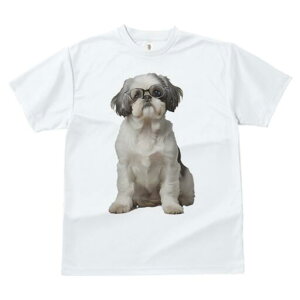 V[Y[ TVc  j[NfUCfB[X t@  t vg JWA 킢 lԗp Mtg I Kl V[Y[