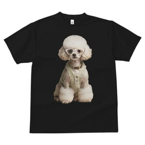 gCv[h TVc  j[NfUCfB[X t@  t vg JWA 킢 lԗp Mtg I Kl gCv[h Z[^[ t@bV 