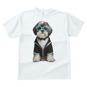 V[Y[ TVc  j[NfUCfB[X t@  t vg JWA 킢 lԗp Mtg I Kl V[Y[ X[c lN^C