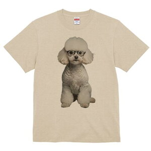 v[h TVc  j[NfUCY LbY t@  t vg JWA 킢 lԗp Mtg I Kl v[h