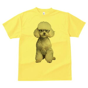 v[h TVc  j[NfUCY LbY t@  t vg JWA 킢 lԗp Mtg I Kl v[h