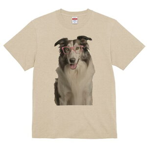 R[ TVc  j[NfUCY LbY t@  t vg JWA 킢 lԗp Mtg I Kl R[