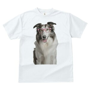 R[ TVc  j[NfUCfB[X t@  t vg JWA 킢 lԗp Mtg I Kl R[