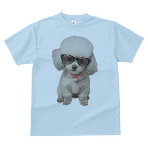 gCv[h TVc  j[NfUCY LbY t@  t vg JWA 킢 lԗp Mtg I Kl gCv[h XJ[t