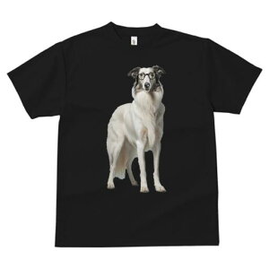 {]C TVc  j[NfUCY LbY t@  t vg JWA 킢 lԗp Mtg I Kl {]C