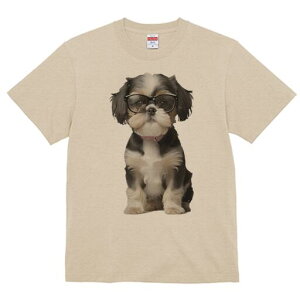 V[Y[ TVc  j[NfUCY LbY t@  t vg JWA 킢 lԗp Mtg I Kl V[Y[