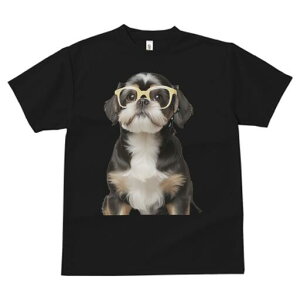 V[Y[ TVc  j[NfUCY LbY t@  t vg JWA 킢 lԗp Mtg I Kl V[Y[