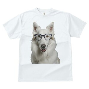 zCgXCXVFp[hhbO TVc  j[NfUCfB[X t@  t vg JWA 킢 lԗp Mtg I Kl zCgXCXVFp[hhb