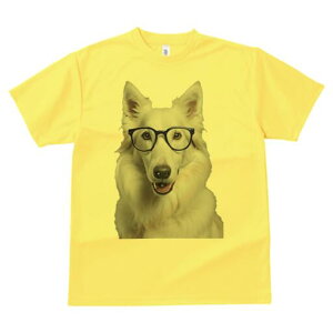 zCgXCXVFp[hhbO TVc  j[NfUCY LbY t@  t vg JWA 킢 lԗp Mtg I Kl zCgXCXVFp[hh