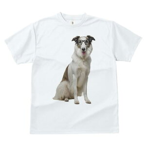 {]C TVc  j[NfUCY LbY t@  t vg JWA 킢 lԗp Mtg I Kl {]C