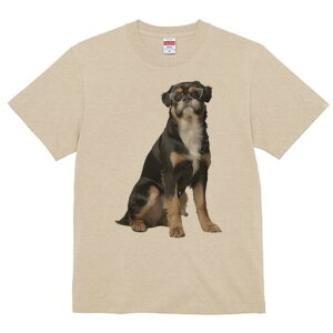 ubZOtH TVc  j[NfUCY LbY t@  t vg JWA 킢 lԗp Mtg I Kl ubZOtH