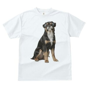 ubZOtH TVc  j[NfUCY LbY t@  t vg JWA 킢 lԗp Mtg I Kl ubZOtH