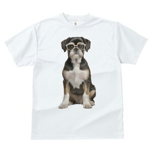 ubZOtH TVc  j[NfUCfB[X t@  t vg JWA 킢 lԗp Mtg I Kl ubZOtH