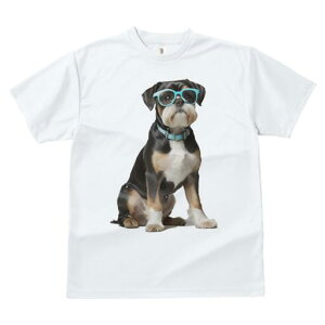 {XgeA TVc  j[NfUCfB[X t@  t vg JWA 킢 lԗp Mtg I Kl {XgeA 