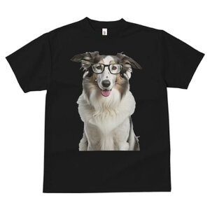 R[ TVc  j[NfUCfB[X t@  t vg JWA 킢 lԗp Mtg I Kl R[